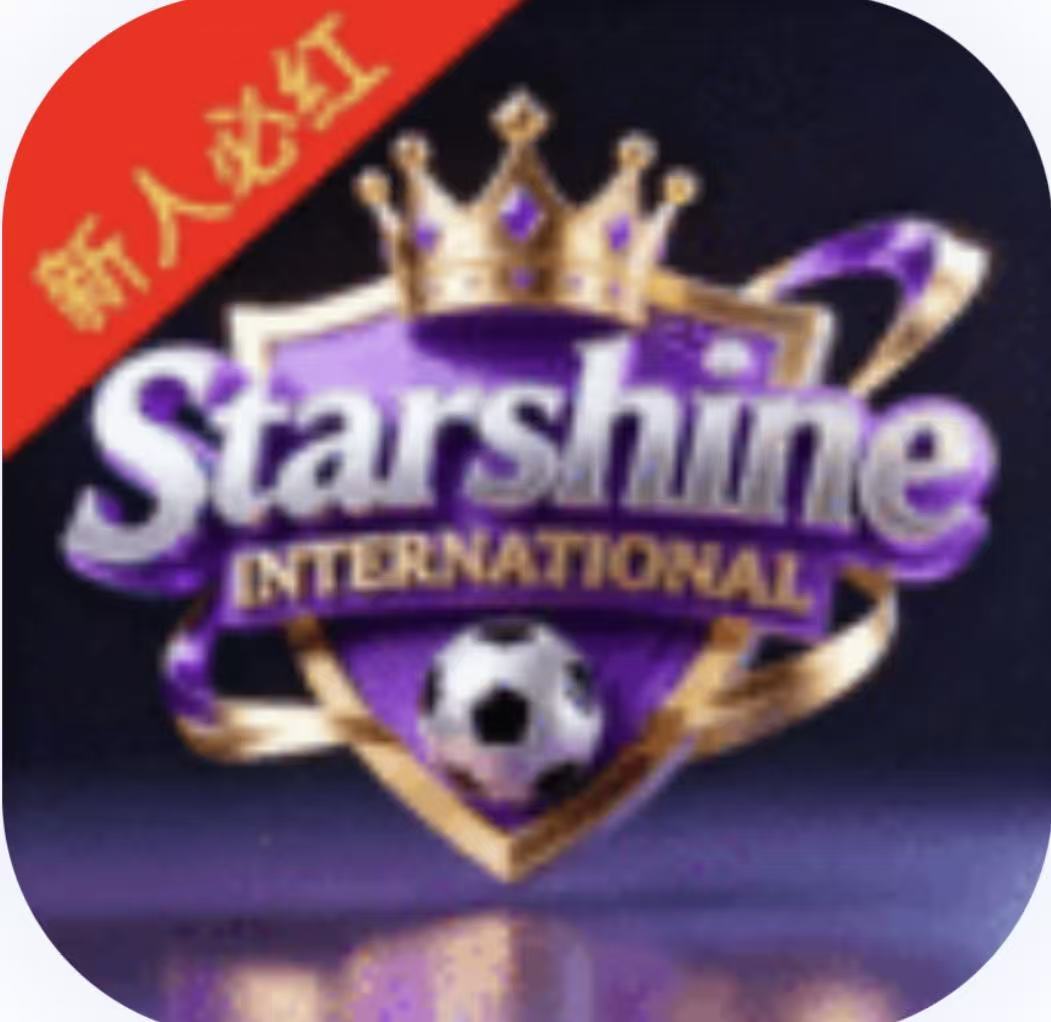 星耀国际